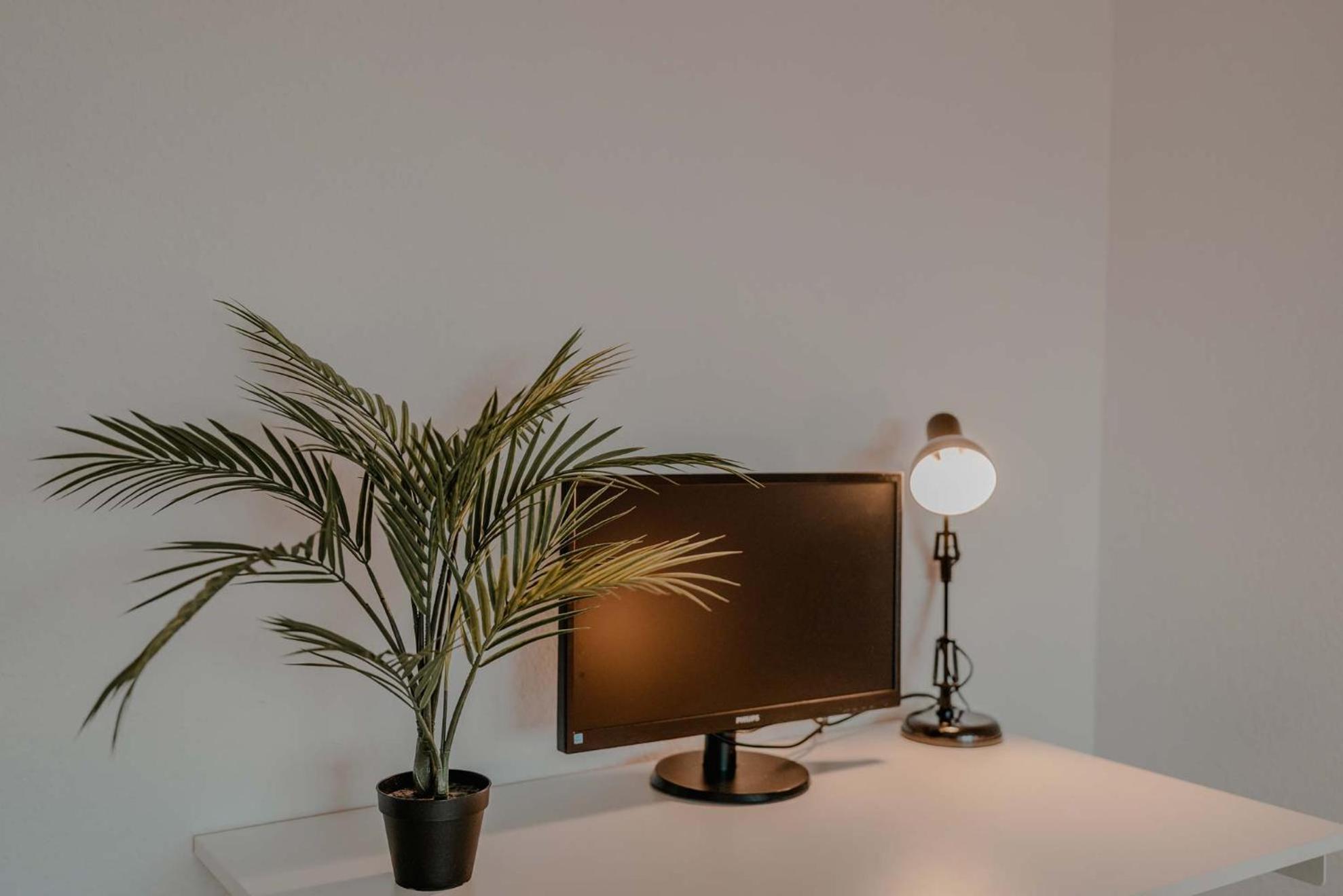 Apartment Mit Kueche, Arbeitsplatz Und Xxl Sofa Neuss Bagian luar foto